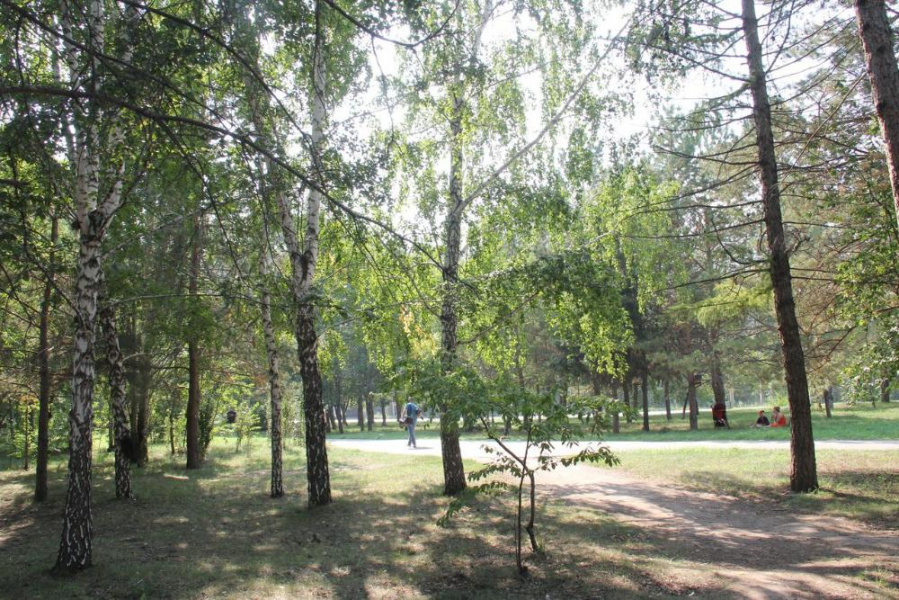 В Омске бульвар в Центральном округе назвали в честь погибшего в Афганистане бойца 