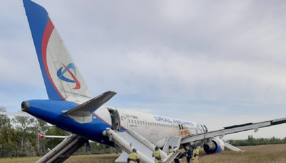 Директор омского аэропорта сообщил об аварийной посадке самолёта с омичами в поле Новосибирской области