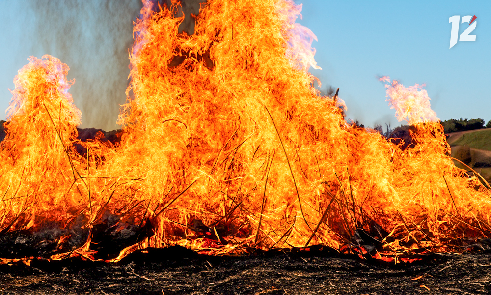 В Омской области зафиксировали больше 30 возгораний сухой травы и мусора с начала действия особого противопожарного режима