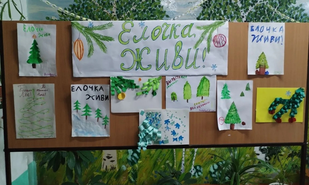 Школьные лесничества Омской области провели акцию «Ёлочка, живи!»
