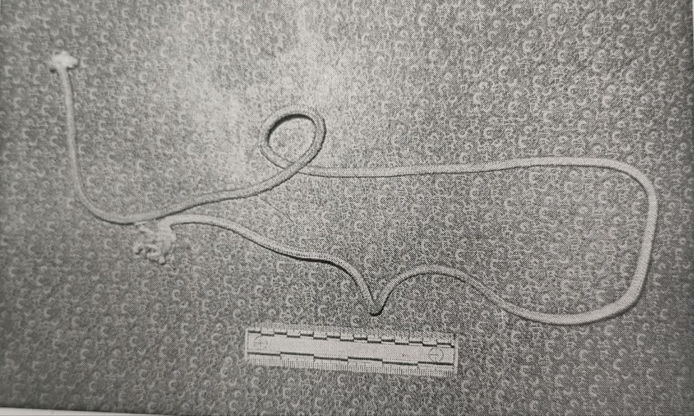 В Омске бездомный задушил пенсионерку, которая его приютила 