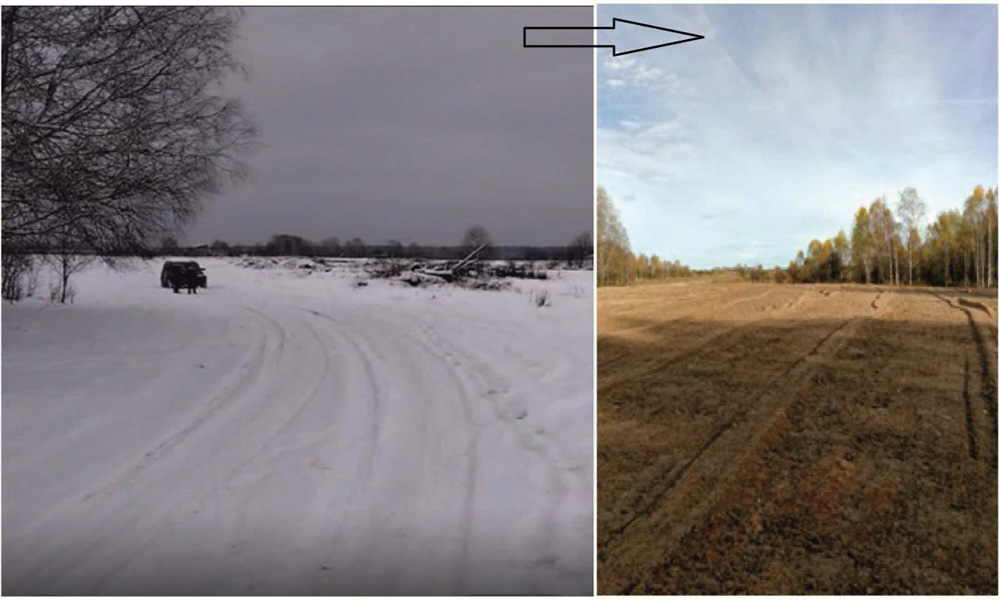 Сельхозземли в Тевризском районе расчистили от мусора