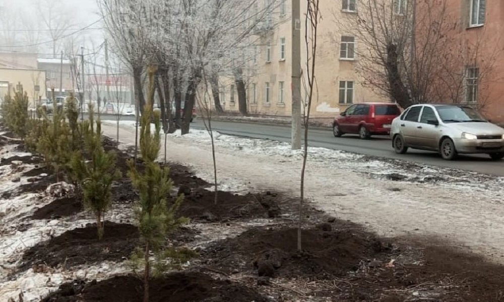 Омские агрономы завершили осенние посадки