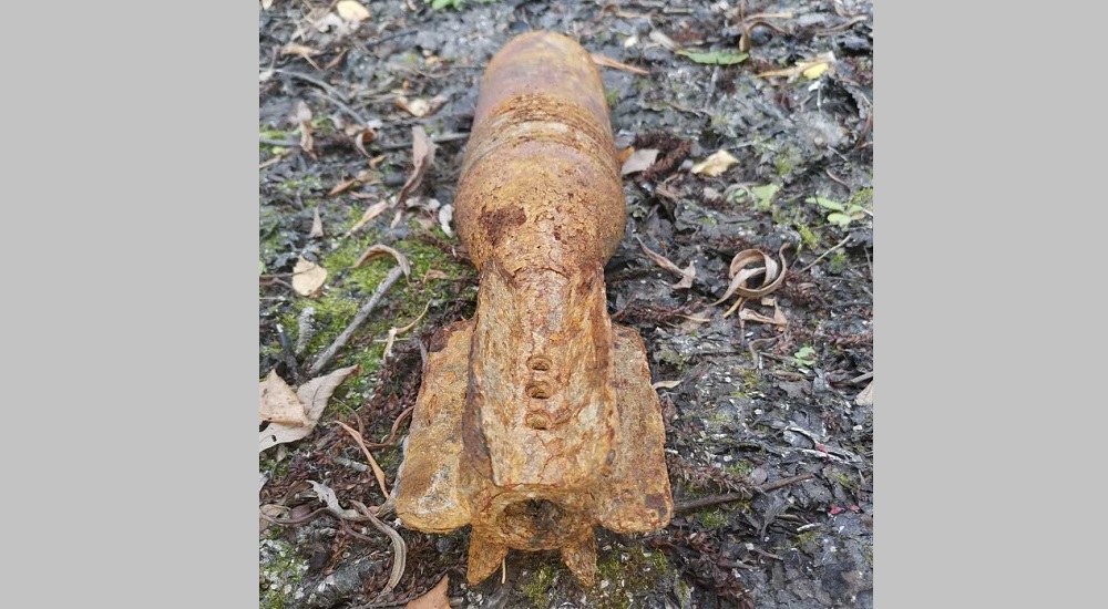 В Омской области уничтожили два найденных местными жителями снаряда