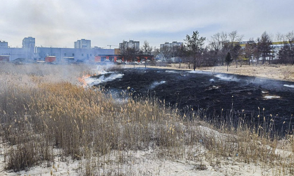 В Омской области с приходом тепла 14 раз загорелась трава 