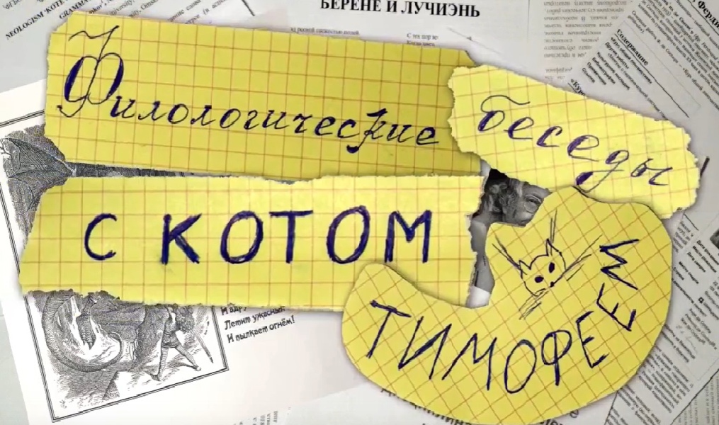 Преподаватель ОмГПУ и её кот победили в международном конкурсе 