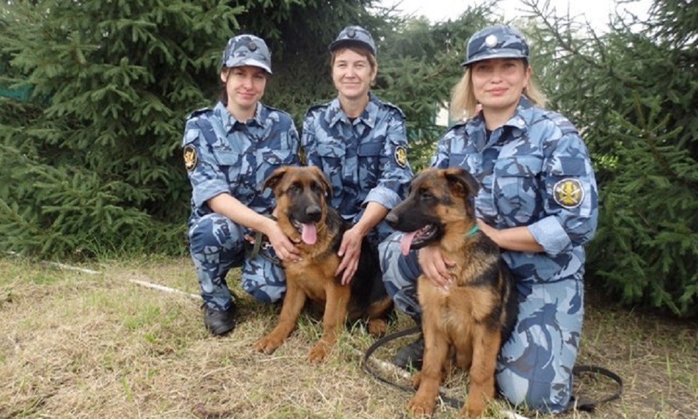 Купить Щенка В Омской Области