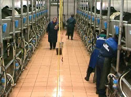 Переоснащение сельхозпроизводств в Омской области позволит удержать молодёжь в селах