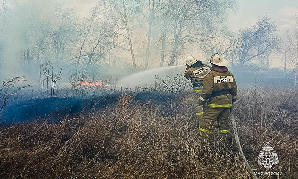 В трёх районах Омской области прогнозируется чрезвычайная пожарная опасность