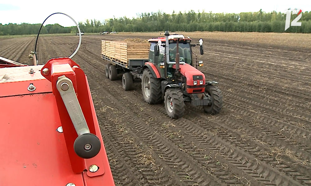 Аграрии Омской области собрали рекордный урожай зерновых и зернобобовых культур