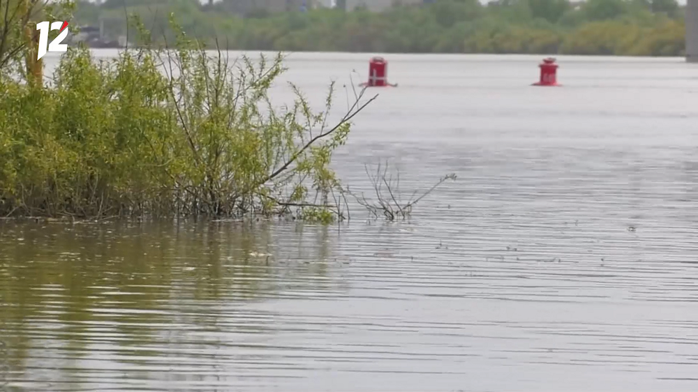 В Омской области в Иртыше утонул пенсионер