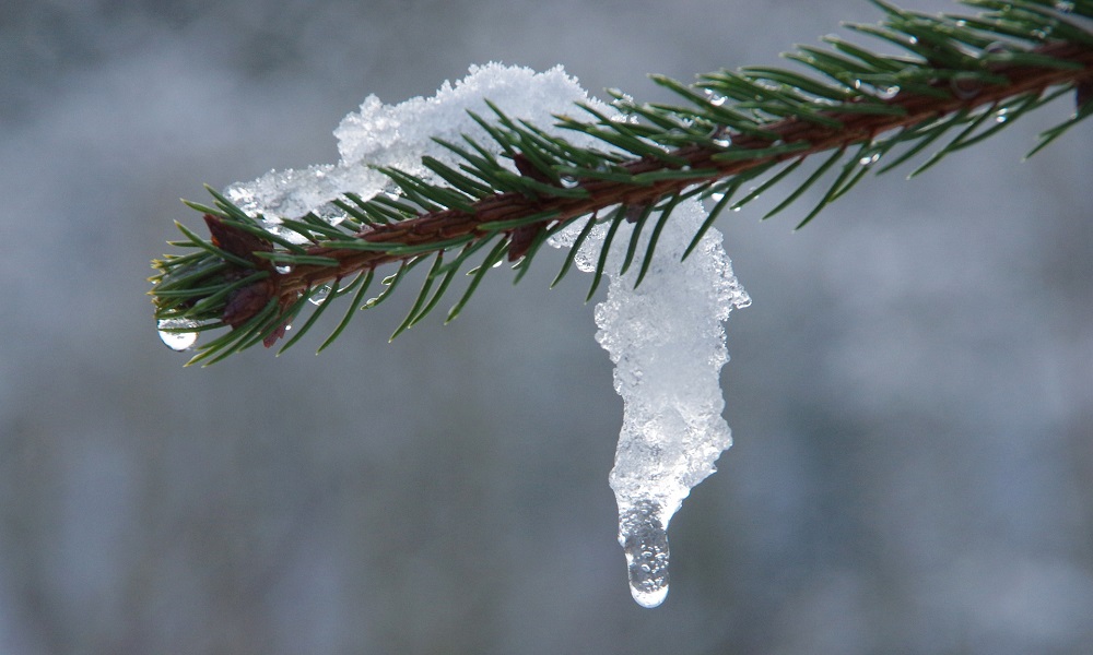 В выходные дни в Омской области ожидается потепление до +1 °C