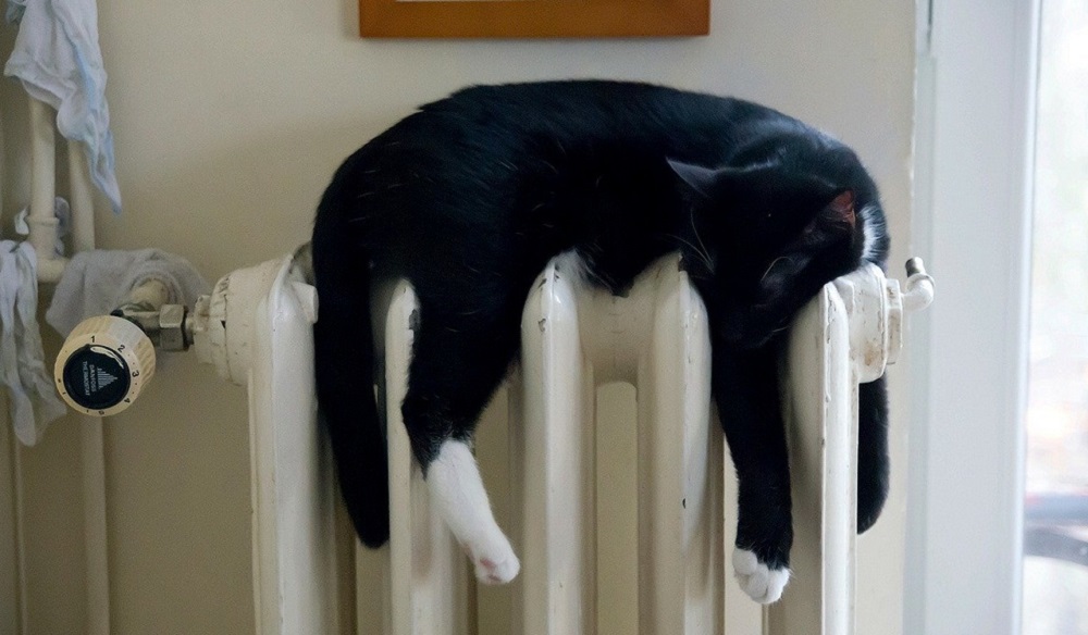 В России могут запретить отключать услуги ЖКХ за долги 