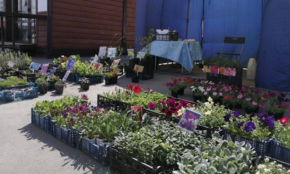 В 2023 году ярмарку «Весенний сад» откроют возле двух омских торговых центров 