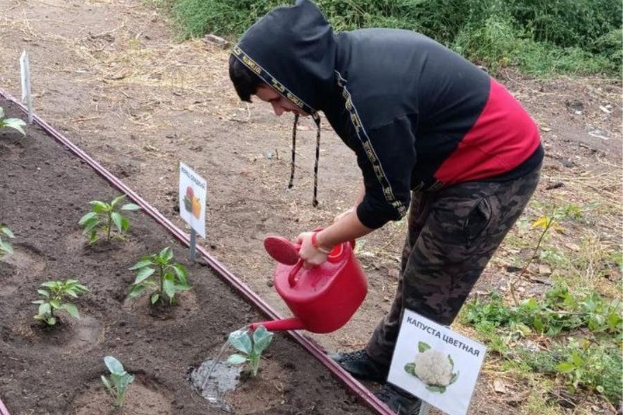 Учащиеся омских адаптивных школ получают первый трудовой опыт