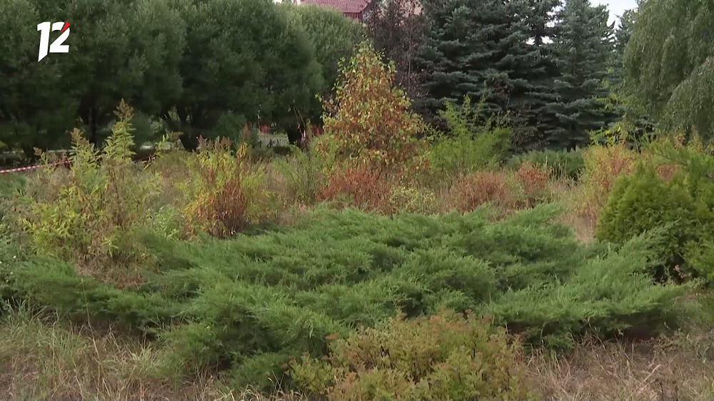 Омское минприроды опубликовало протокол онлайн-слушаний по дендросаду имени Гензе 