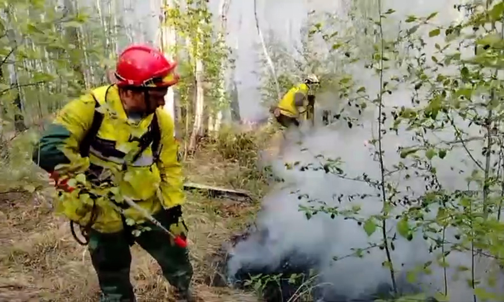 Омские пожарные успешно завершили сложную операцию по спасению лесов от огня в Забайкалье