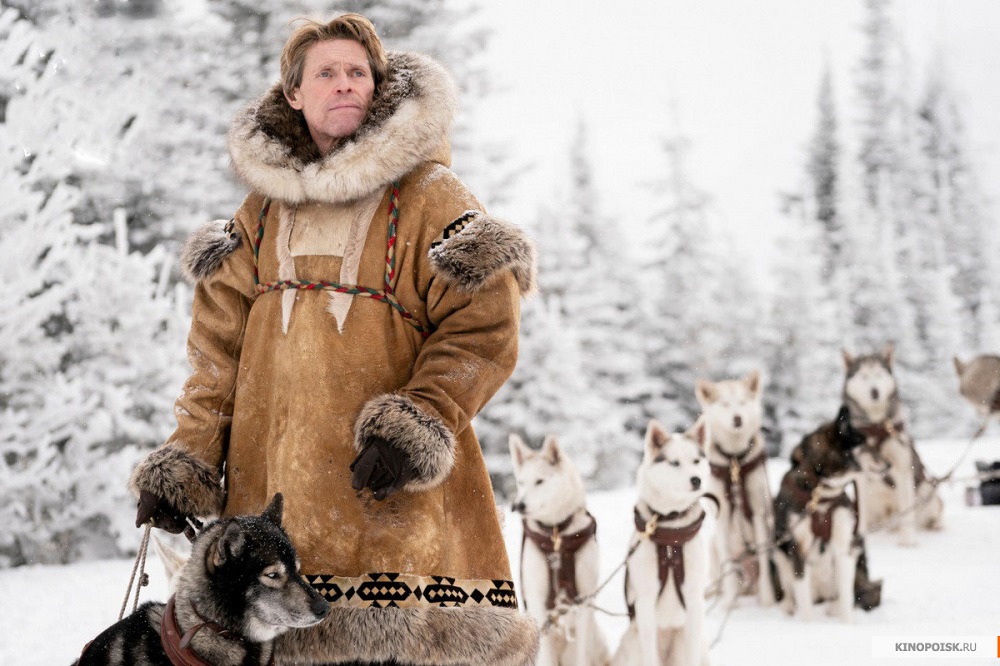 Фильм "Того": собака-герой, оставшаяся в тени