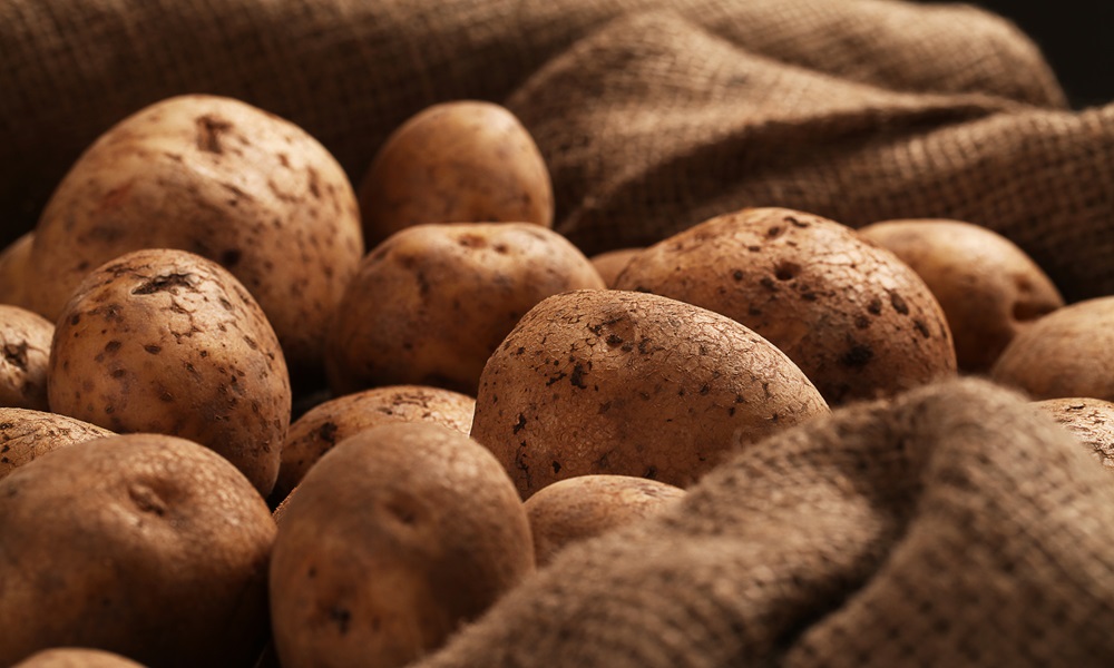 Кандидат сельскохозяйственных наук Александр Черемисин призвал омских дачников сажать картошку