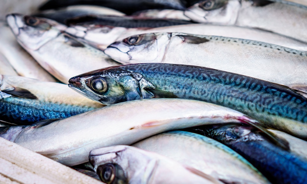 Специалисты омского Россельхознадзора задержали 1,5 тонны незаконных морепродуктов и рыбы 