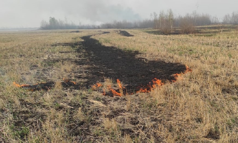 В Омской области оштрафовали мужчину за пожар в поле