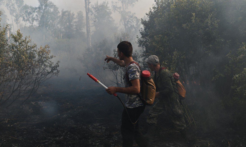 В Омской области официально завершён лесопожарный сезон