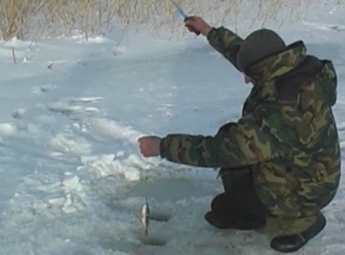 В Крутинке пройдёт чемпионат Омской области по рыболовному спорту