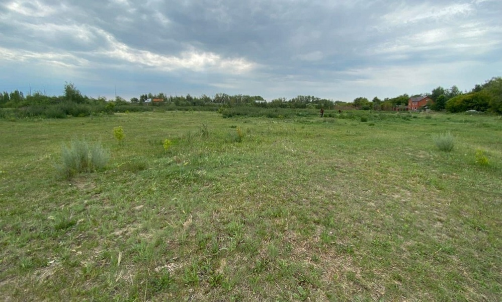 Жители Омской области, пострадавшие от пожаров, могут бесплатно получить землю