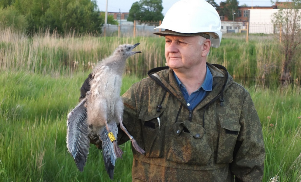 Омичей приглашают на публичную лекцию известного орнитолога Сергея Соловьёва