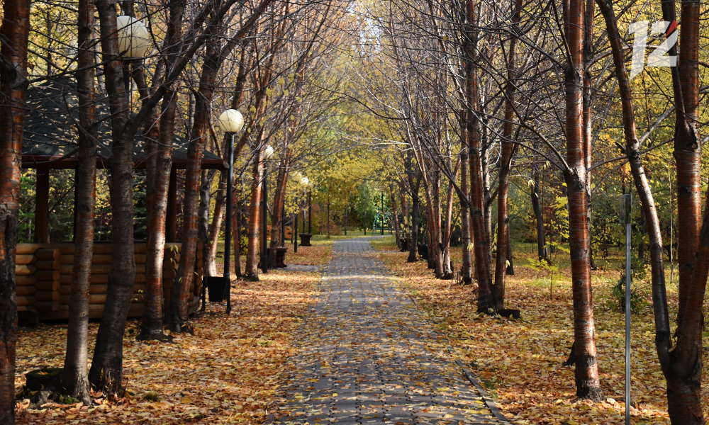 По прогнозу синоптиков, в сентябре Омскую область накроет жаркая и сухая погода 