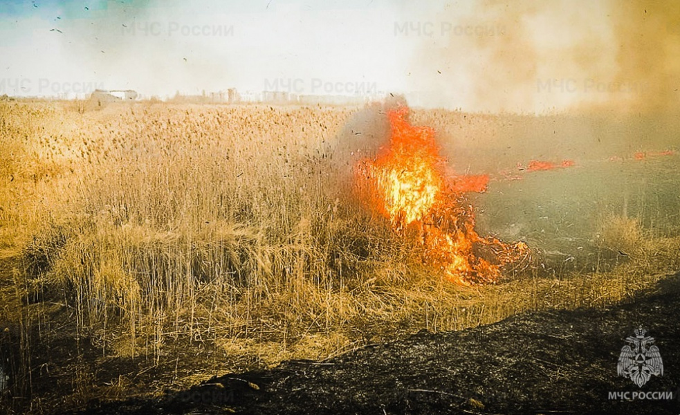 В Омской области начался пожароопасный сезон
