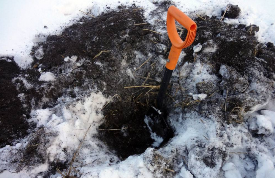 Закопал ещё живого: жителя Исилькульского района обвиняют в убийстве престарелого отца