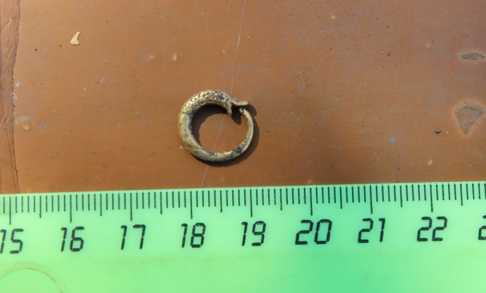 Омские археологи нашли мужскую серёжку в виде змеи, кусающей себя за хвост 