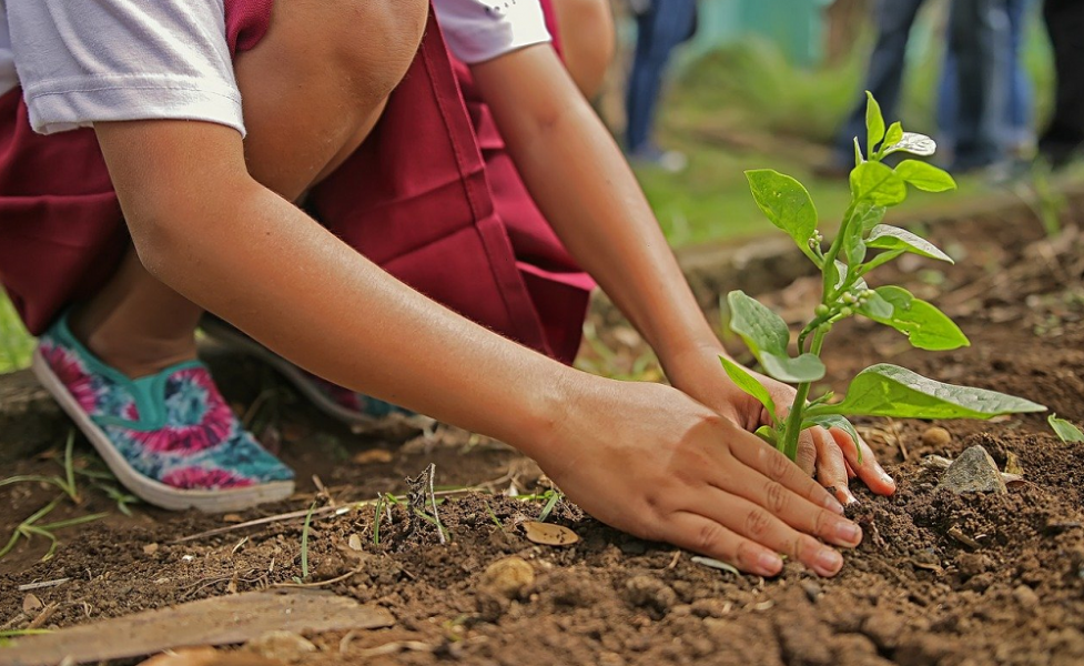 С мая по сентябрь в Омской области трудоустроят 7 500 подростков