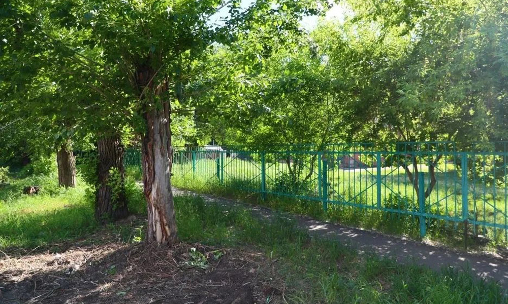 В Омске привели в порядок территорию у школы № 90 имени Д. М. Карбышева