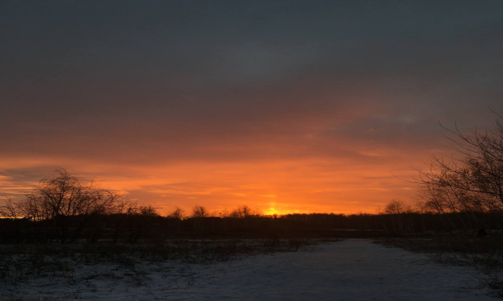 В выходные омичи наблюдали в небе красивый закат 