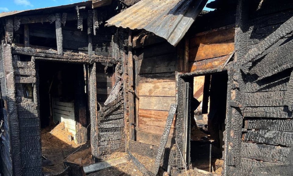 Омский следком назвал предварительную причину крупного пожара на улице Новгородской, где погибли два человека