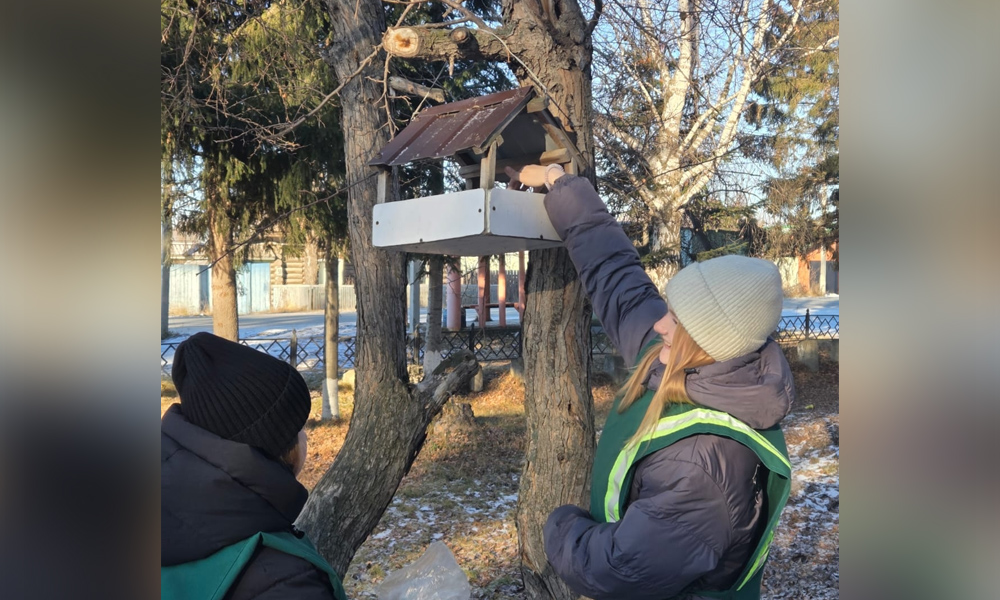 Омские школьные лесничества организовали зимнюю подкормку птиц