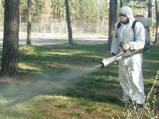 Более 50 скверов и бульваров Омска обезопасят от клещей и грызунов