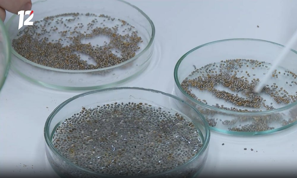 Специалисты Россельхознадзора провели лабораторный анализ продукции Омского ГАУ  