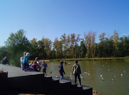 В омском парке 30-летия ВЛКСМ появится сенсорный сад