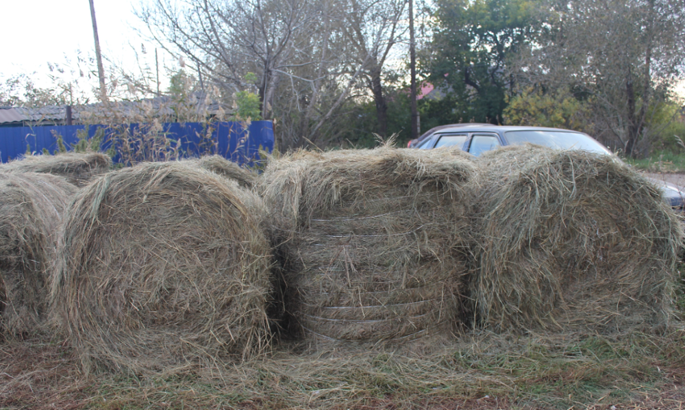 В Таврическом районе сельчанин продал чужое сено