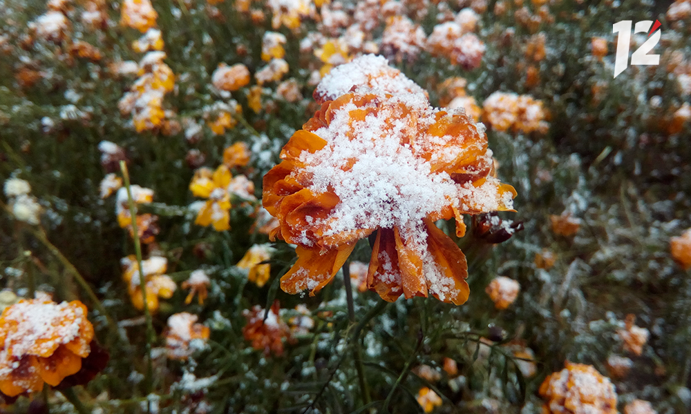 Уже в начале сентября в Омской области может выпасть первый снег