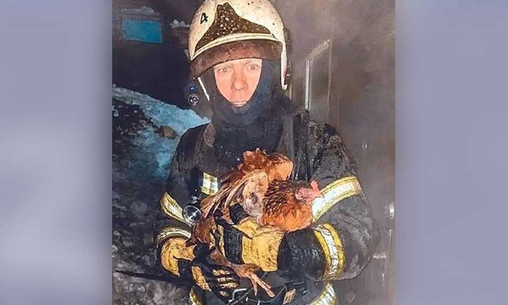 Омские спасатели вынесли из горящего сарая 23 курицы