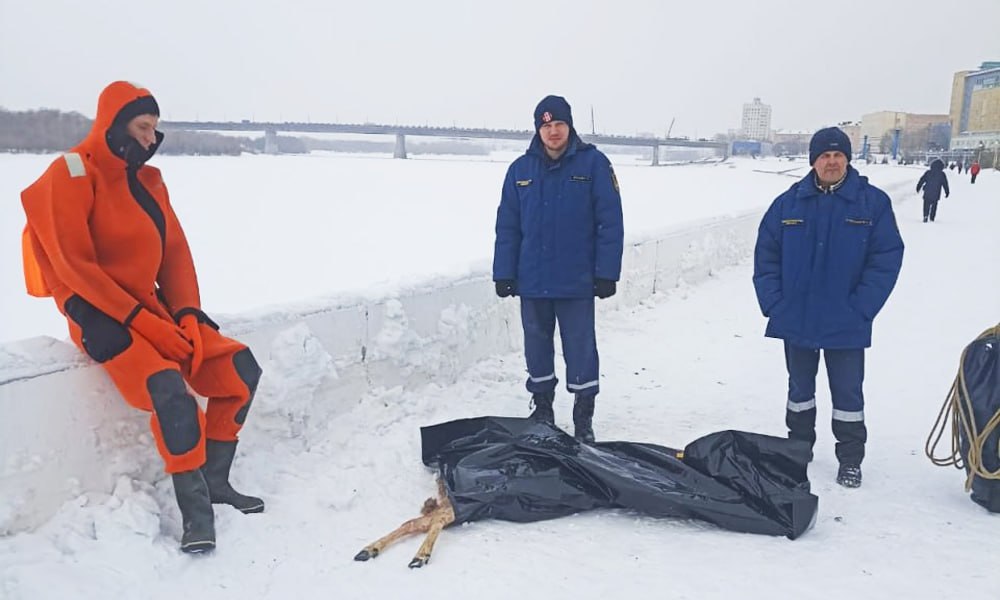 Омские спасатели обнаружили мёртвую косулю на Иртыше