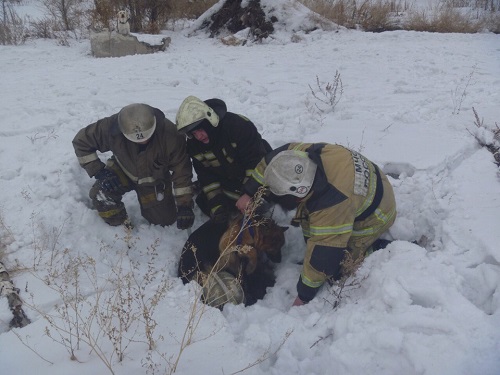Омичка с псом провалились в колодец на Левобережье