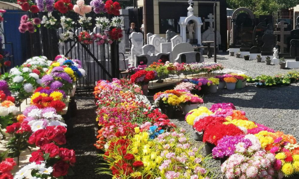 В Омске организуют 113 мест для торговли искусственными цветами к Радонице