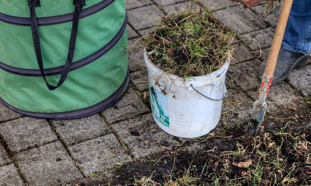 Омские школьники смогут приступить к работе уже 1 июня