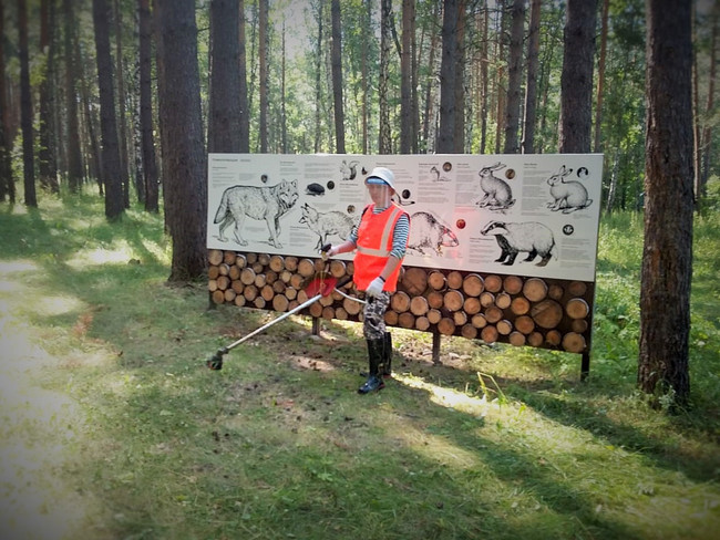 Очередные группы эковолонтёров отправились на озёра Омской области