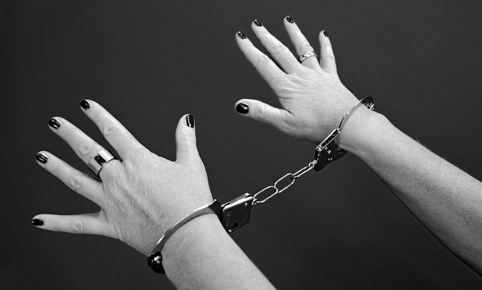 В Омске задержали даму, которая украла более 160 млн рублей и скрывалась от Интерпола 7 лет